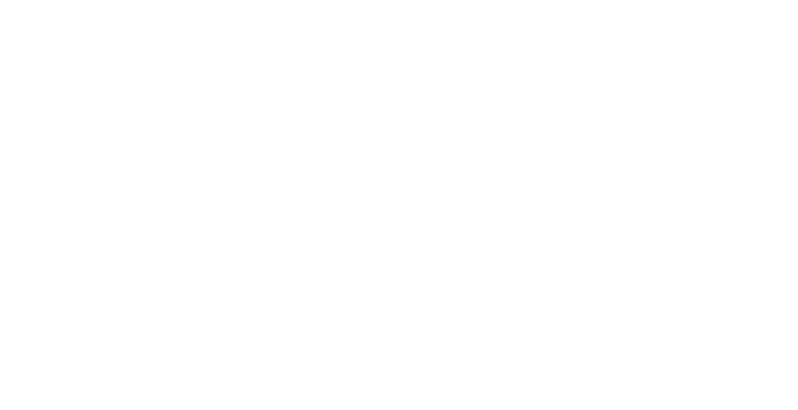 Logo SMB Amicale blanc